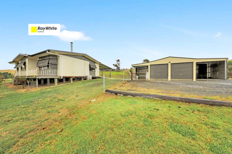 Main view of Homely house listing, 429 Grahamstown Road, Adelong NSW 2729