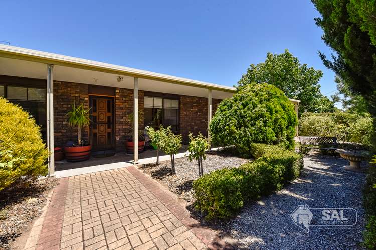 32 Pigeon Flat Road, Bordertown SA 5268