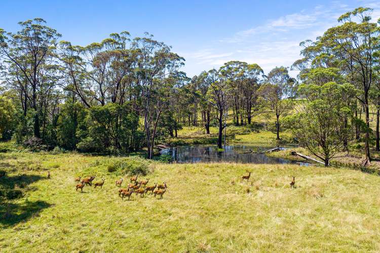 Main view of Homely residentialLand listing, LOT 26, 82 Wagonga Scenic Drive, Narooma NSW 2546