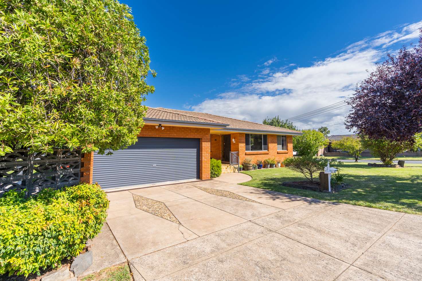 Main view of Homely house listing, 23 Paling Street, Orange NSW 2800