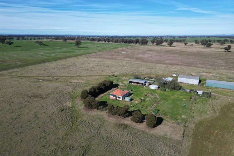 Main view of Homely mixedFarming listing, 'Awana', 2655 Tubbul Road, Young NSW 2594