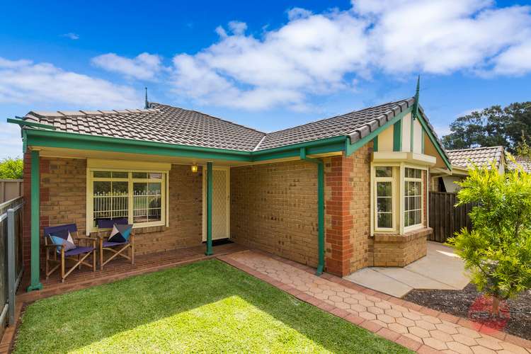 17 Jacaranda Grove, Oaklands Park SA 5046