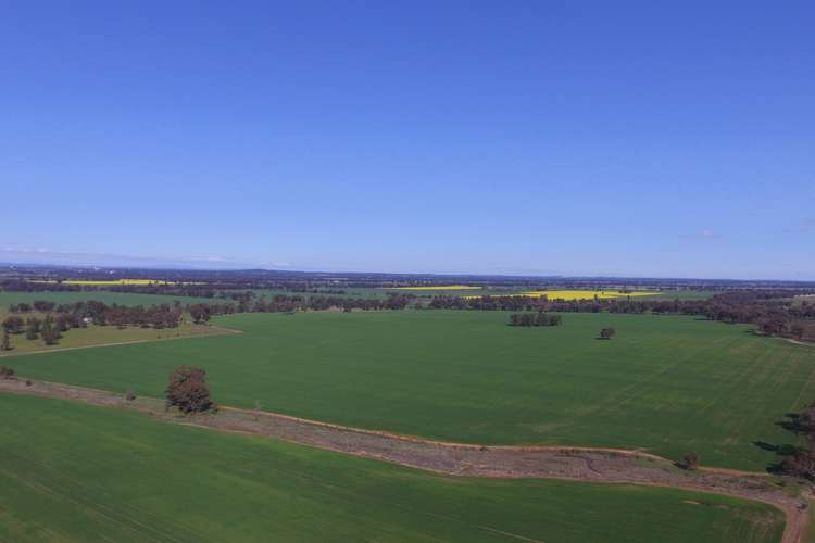 Main view of Homely mixedFarming listing, 'The Grange' 230 Thanowring Road, Temora NSW 2666