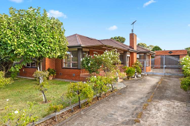 41 Dorset Road, Ferntree Gully VIC 3156