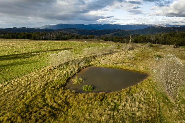 Main view of Homely mixedFarming listing, 1 Herrings Road, Batlow NSW 2730