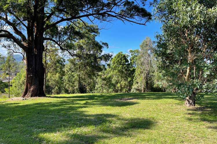 Main view of Homely residentialLand listing, 10 Adelaide Close, Wingham NSW 2429