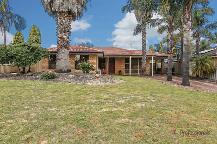 Main view of Homely house listing, 10 Woodpine Court, Ballajura WA 6066