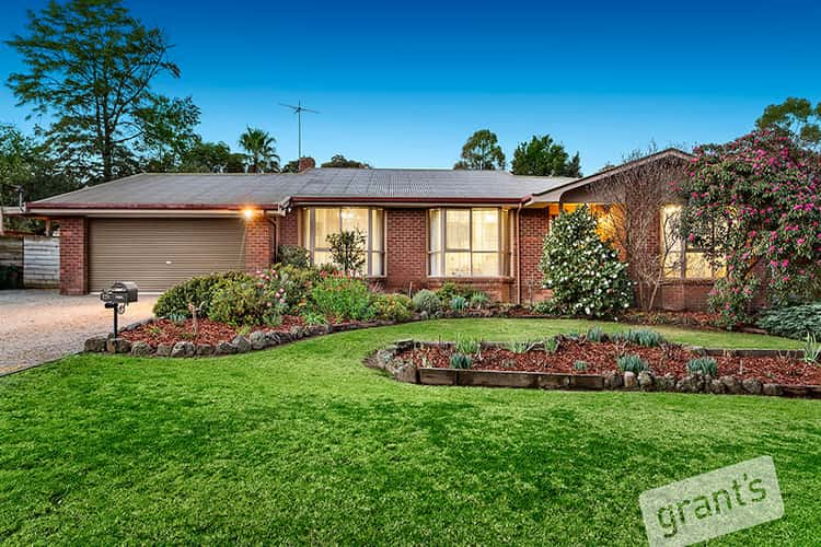 Main view of Homely house listing, 17A Elgin Street, Berwick VIC 3806