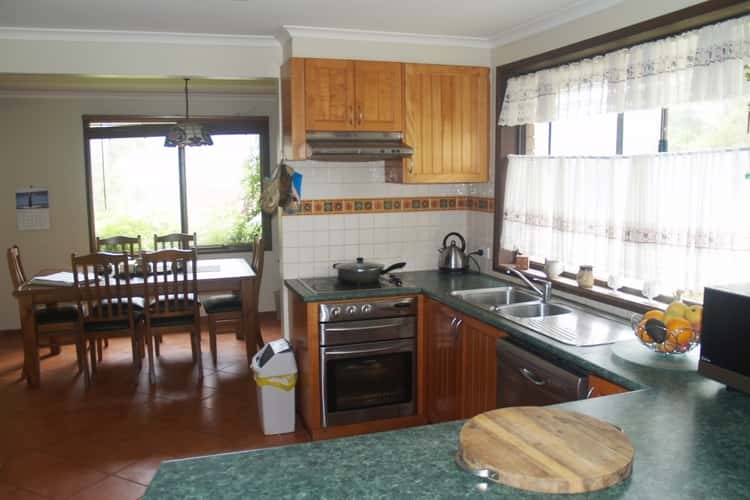 Main view of Homely house listing, 131 Loftus St, Bemboka NSW 2550