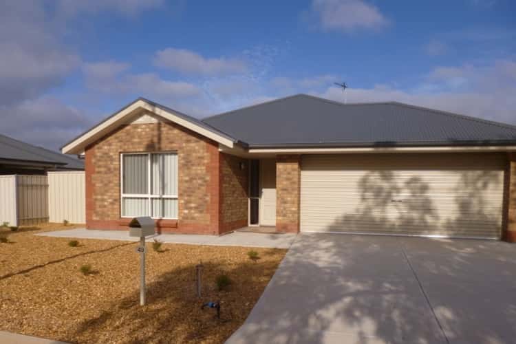 Main view of Homely house listing, 49 McRitchie Crescent, Whyalla SA 5600