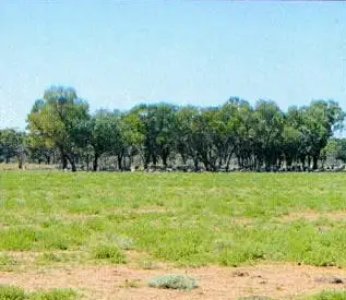 Second view of Homely rural property listing, * Turn Turn/Wittenburra, Eulo QLD 4491