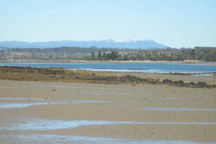 Main view of Homely residentialLand listing, - Bakers Beach Road, Bakers Beach TAS 7307