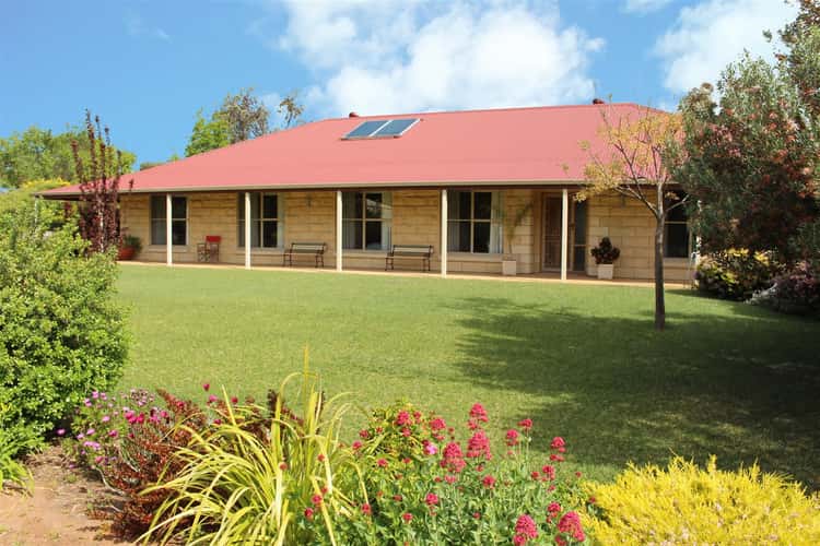 Main view of Homely house listing, 3 Hill Street, Bordertown SA 5268