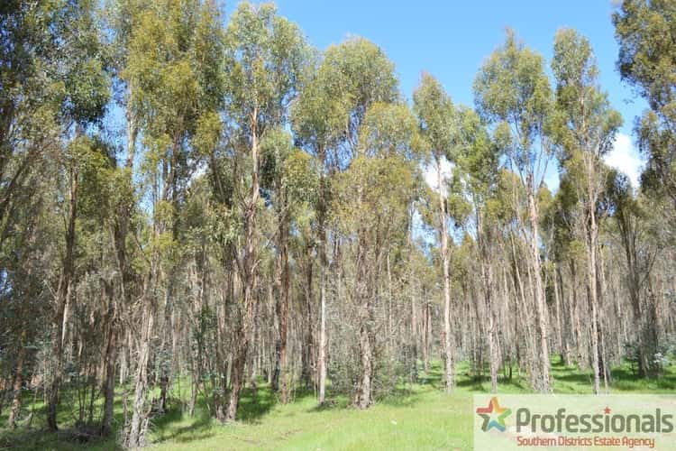 Third view of Homely ruralOther listing, Lot 1 Muir Rd, Mayanup WA 6244
