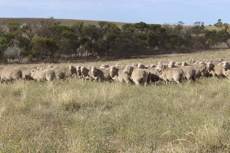 Main view of Homely mixedFarming listing, 1494 GARRA SOUTH ROAD, Parrakie SA 5301