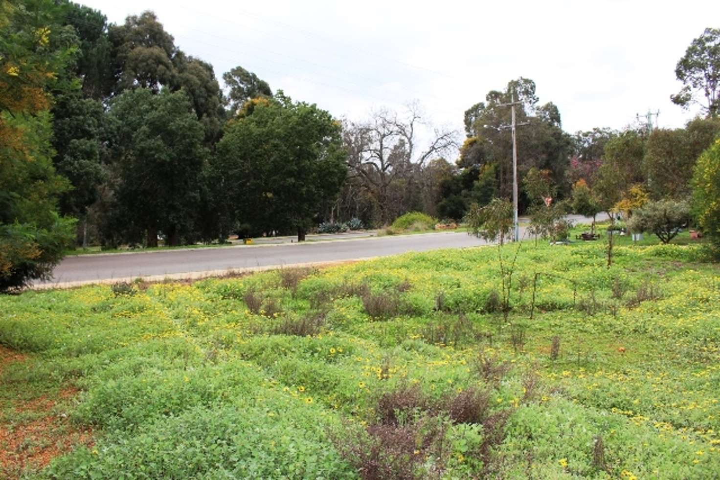 Main view of Homely residentialLand listing, 196 Atkins Street, Jarrahdale WA 6124