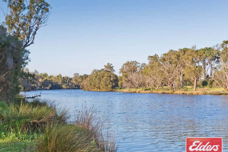 Main view of Homely house listing, 41A Market Street, Guildford WA 6055