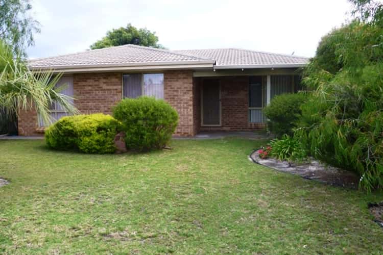 Main view of Homely house listing, 6 MUNJI CLOSE, Castletown WA 6450