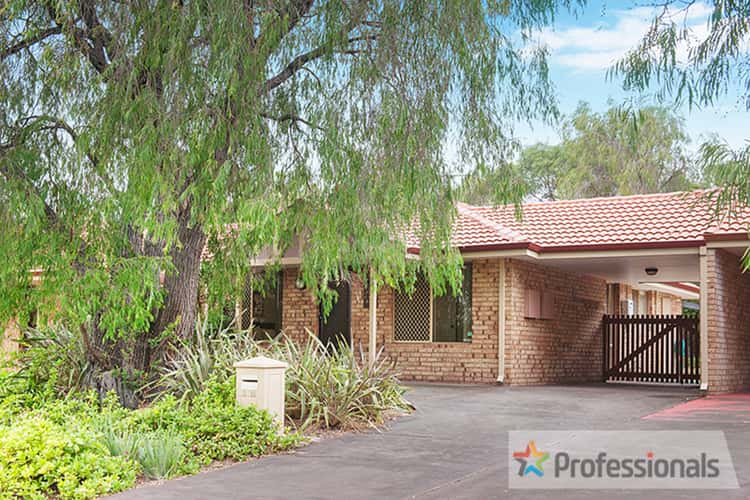 Main view of Homely unit listing, 3/16 Harwood Road, Geographe WA 6280