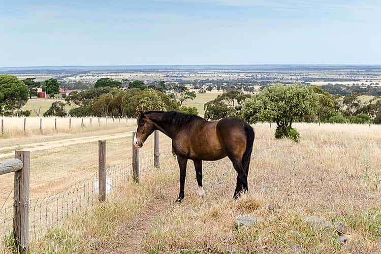 208 Wattle Flat Road, Strathalbyn SA 5255