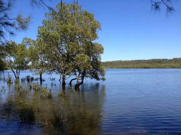 Main view of Homely rural property listing, Lot 5 Sec 8 Breckenridge St, The Branch NSW 2425