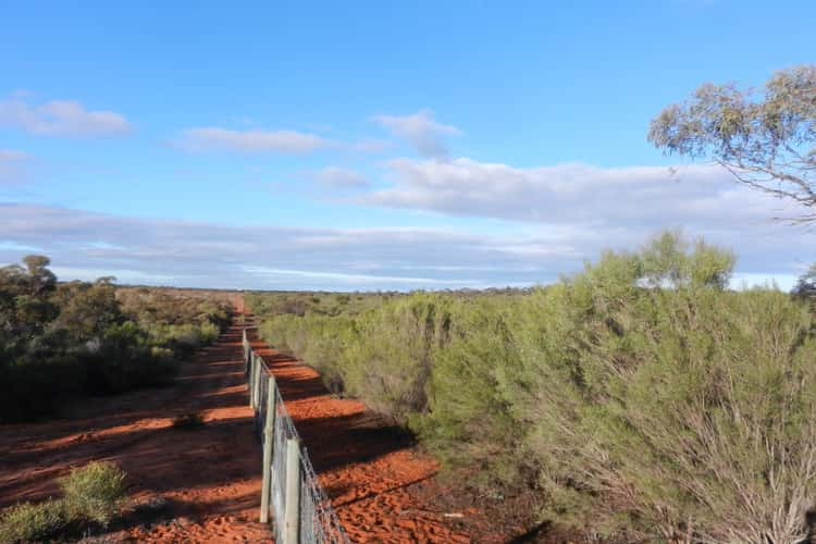 Lot 37 Nicholls Road, Renmark SA 5341