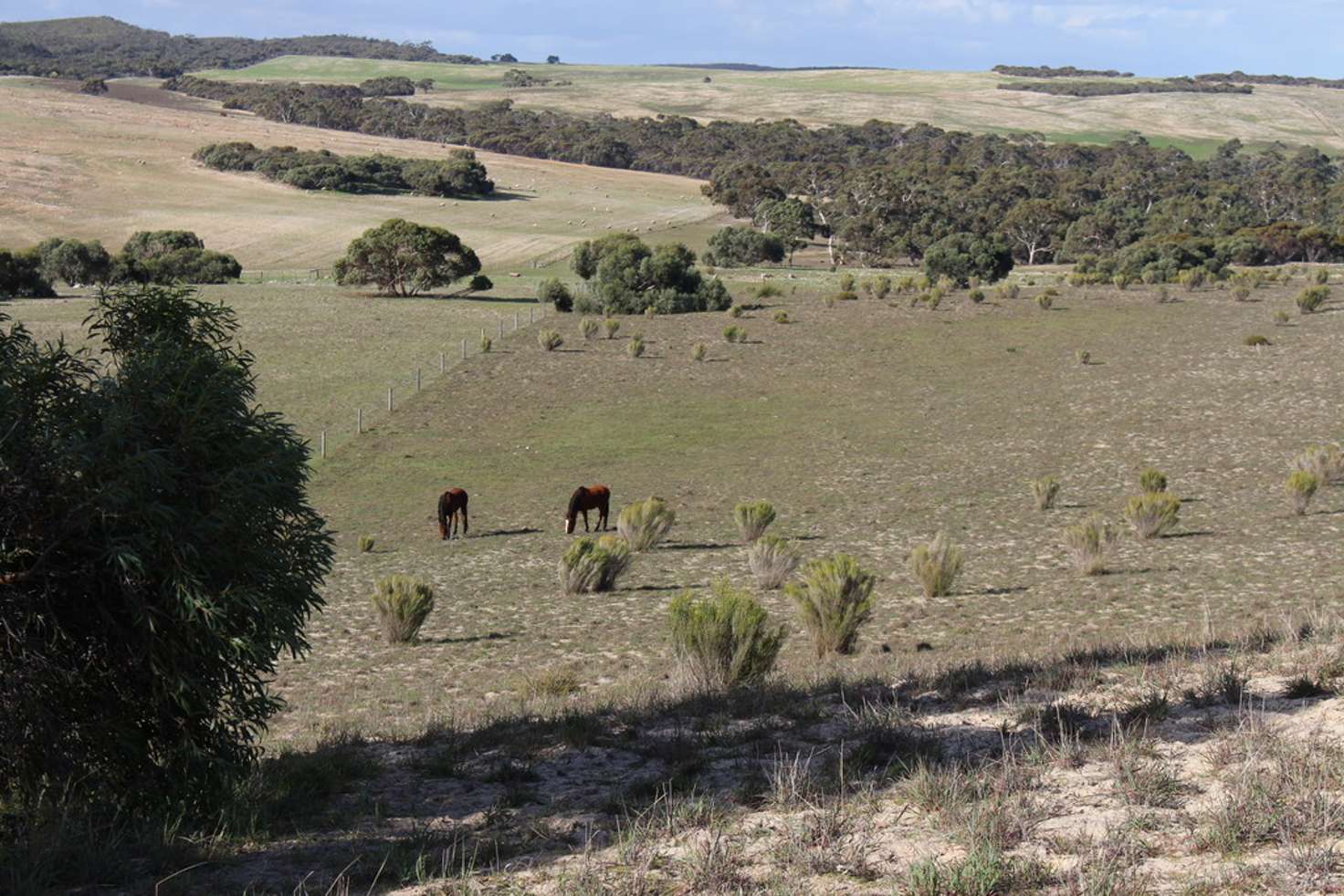 Main view of Homely mixedFarming listing, 226 Raphael Road, Keith SA 5267