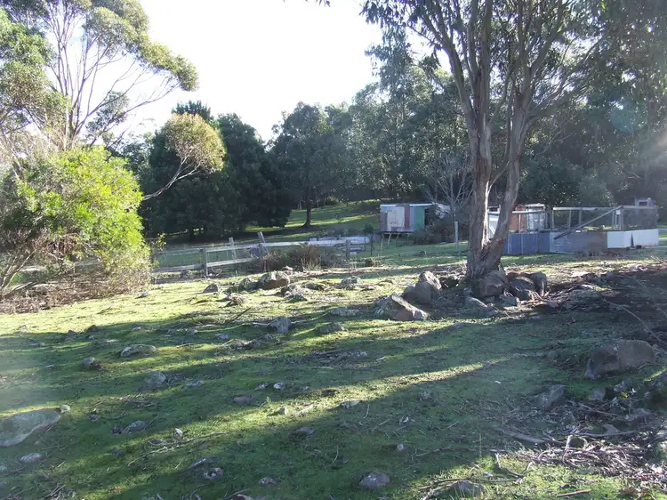 Sixth view of Homely house listing, 1608 Nugent Road, Nugent TAS 7172