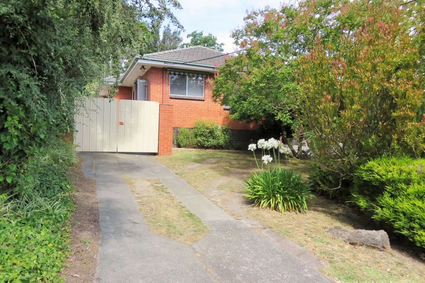 Main view of Homely unit listing, 1/119 Holland Road, Blackburn South VIC 3130