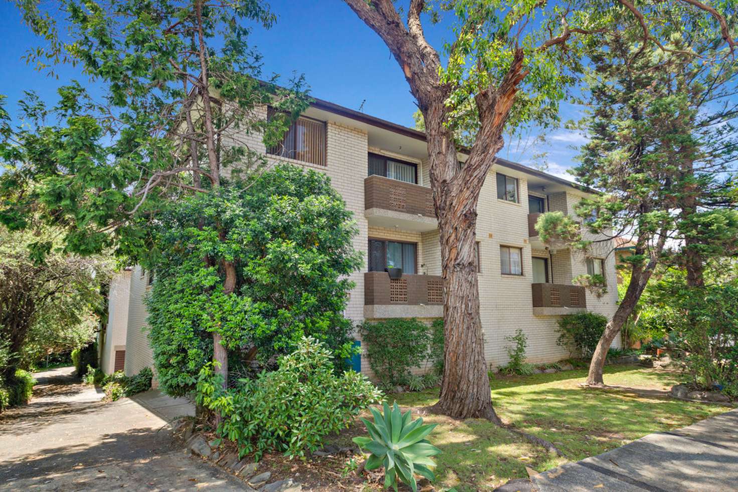 Main view of Homely unit listing, 5/47-53 Cobar Street, Dulwich Hill NSW 2203