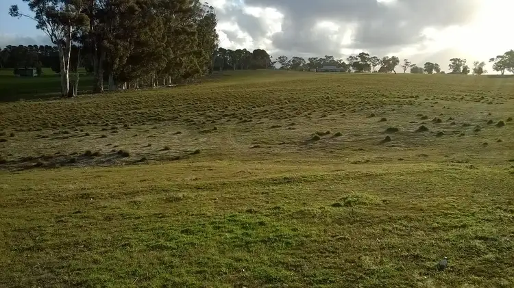 Lot 7 Emu Rise Road, Keith SA 5267