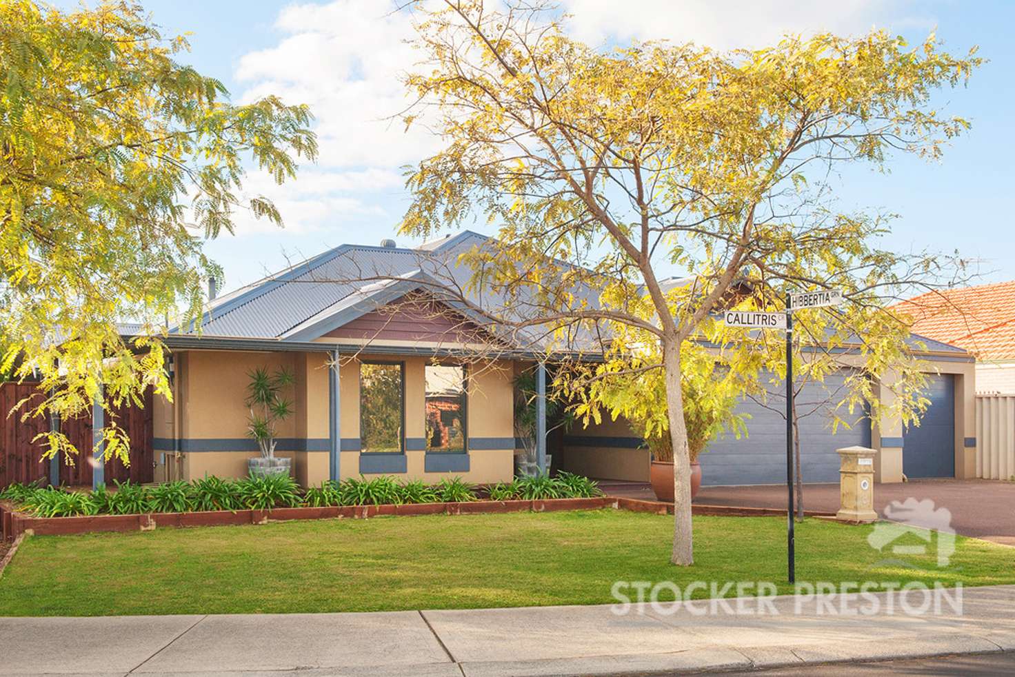Main view of Homely house listing, 8 Callitris Crescent, Broadwater WA 6280