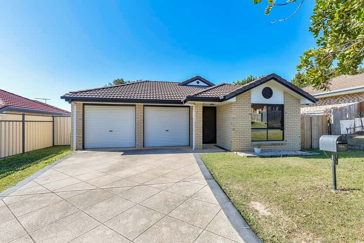 101 Linaria Circuit, Drewvale QLD 4116