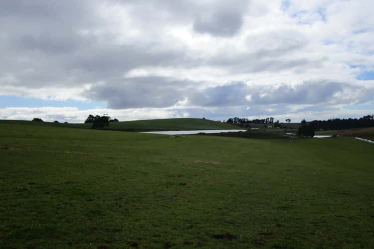 Fourth view of Homely cropping listing, 250 Swamp Road, Kindred TAS 7310