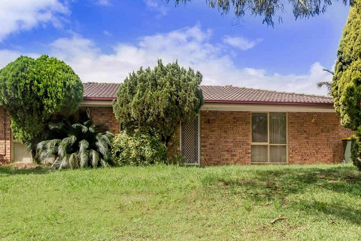 Main view of Homely house listing, 3 Brigalow Avenue, Casula NSW 2170