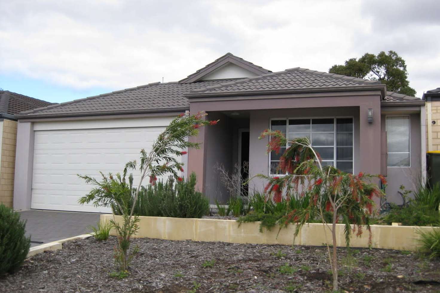 Main view of Homely house listing, 5 Bronzewing Link, Beeliar WA 6164