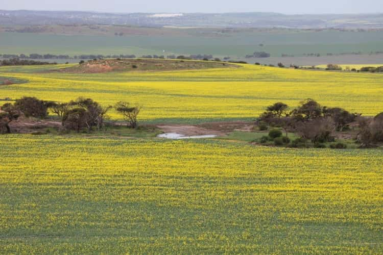 'Bluehills' Suckling Road, Sandy Gully WA 6535