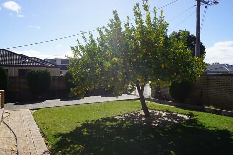 Fifth view of Homely house listing, 231 Waterloo Street, Tuart Hill WA 6060