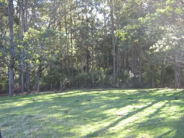 Fifth view of Homely land listing, 338 Stubbs Road, Forth TAS 7310