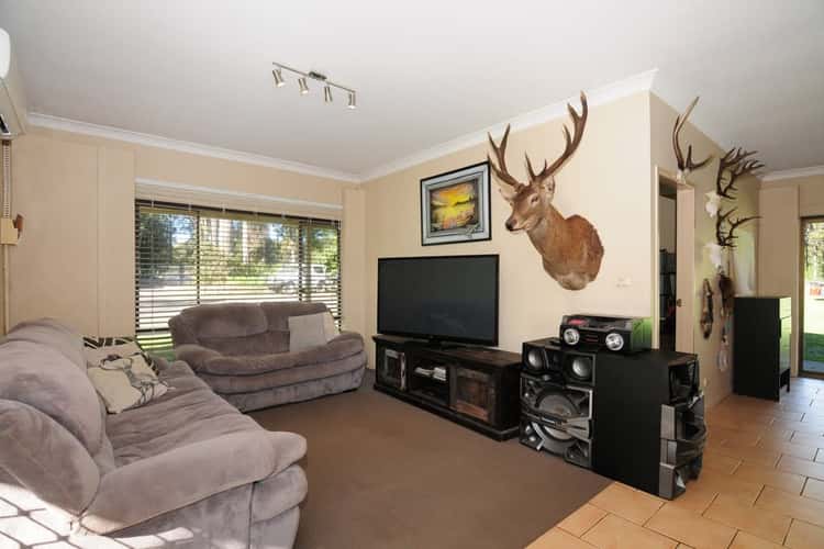 Third view of Homely house listing, 231 Pine Forest Road, Tomerong NSW 2540