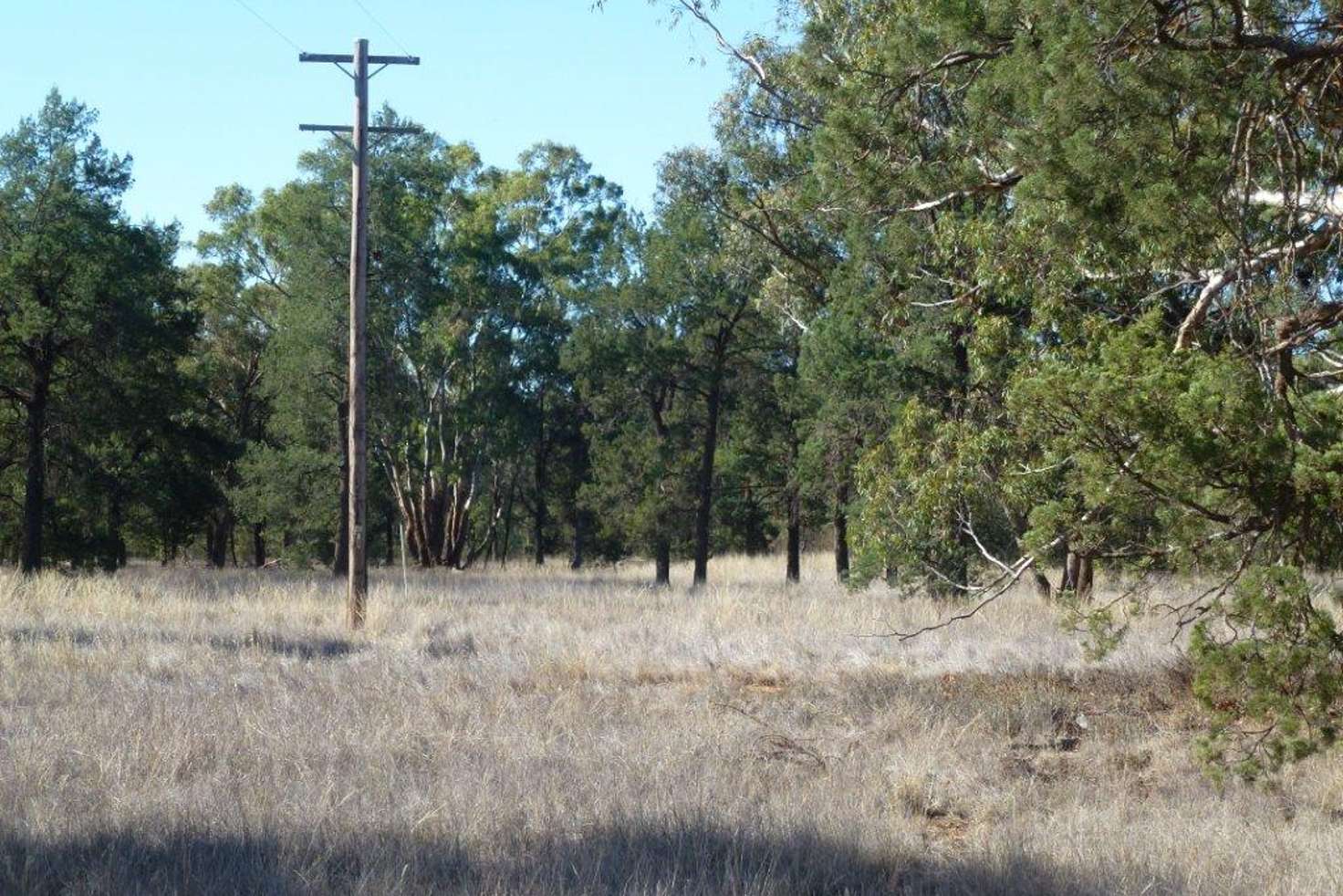 Main view of Homely cropping listing, KAKADU FOREST BLOCK, Jerilderie NSW 2716