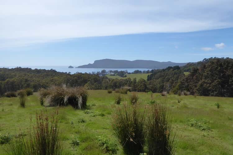 Main view of Homely residentialLand listing, 0 'Murrayville'  McPhersons Road, Adventure Bay TAS 7150