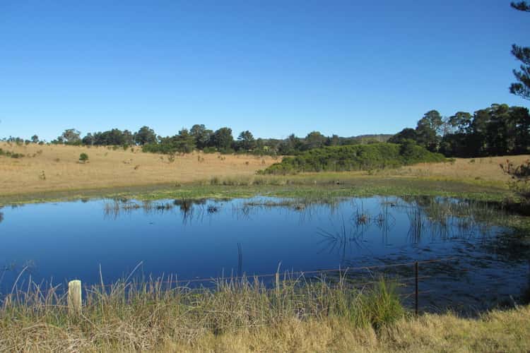 Fifth view of Homely acreageSemiRural listing, 3427-3429 Princes Highway, Bergalia NSW 2537