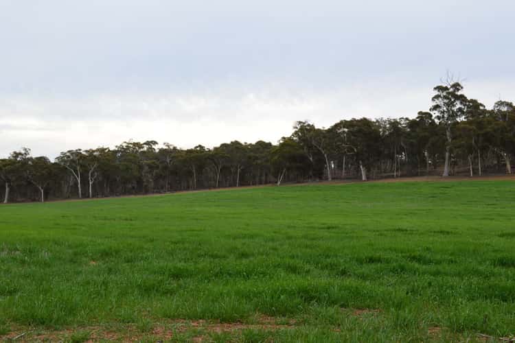 Fifth view of Homely cropping listing, L101 BOYUP BROOK-ARTHUR ROAD, Trigwell WA 6244
