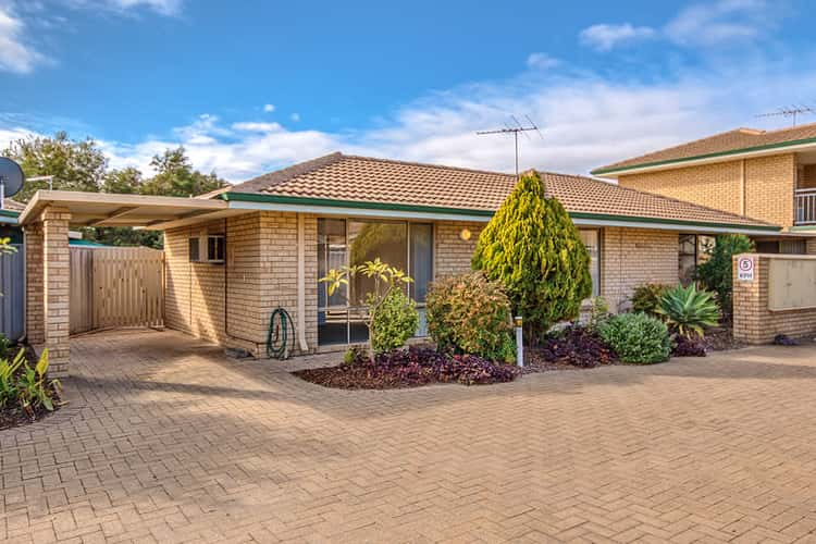 Main view of Homely unit listing, 8/6-8 Sepia Court, Rockingham WA 6168