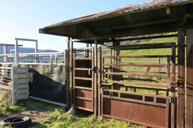 Third view of Homely livestock listing, Pt Myrtlevale Upper Rouchel Rd, Aberdeen NSW 2336