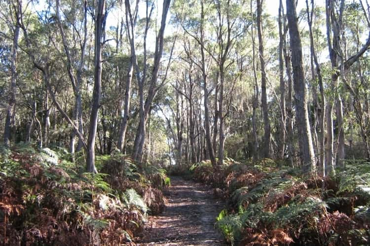 Fifth view of Homely residentialLand listing, - Bakers Beach Road, Bakers Beach TAS 7307