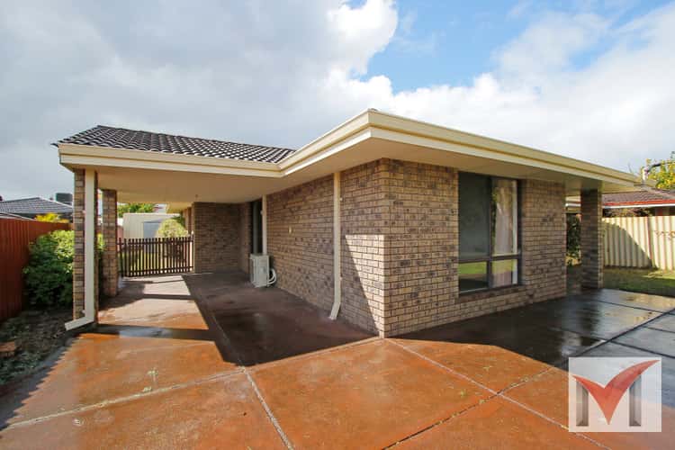 Main view of Homely house listing, 77A Rostrata Avenue, Willetton WA 6155