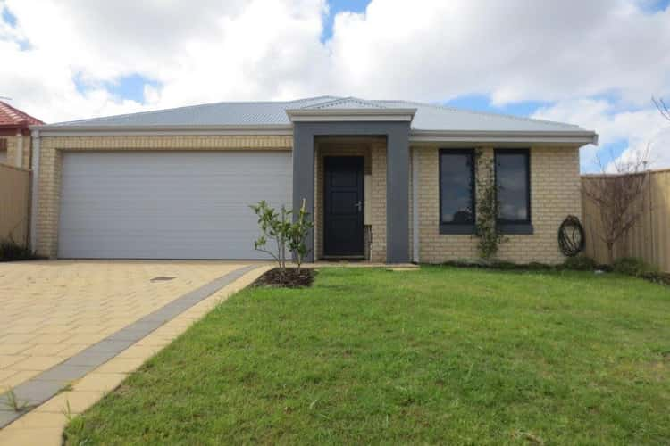 Main view of Homely house listing, 17 Nankeen Elbow, Beeliar WA 6164