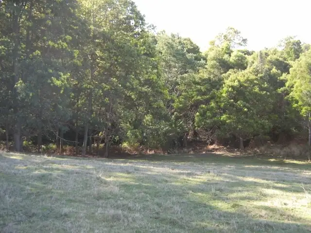 Sixth view of Homely land listing, 338 Stubbs Road, Forth TAS 7310